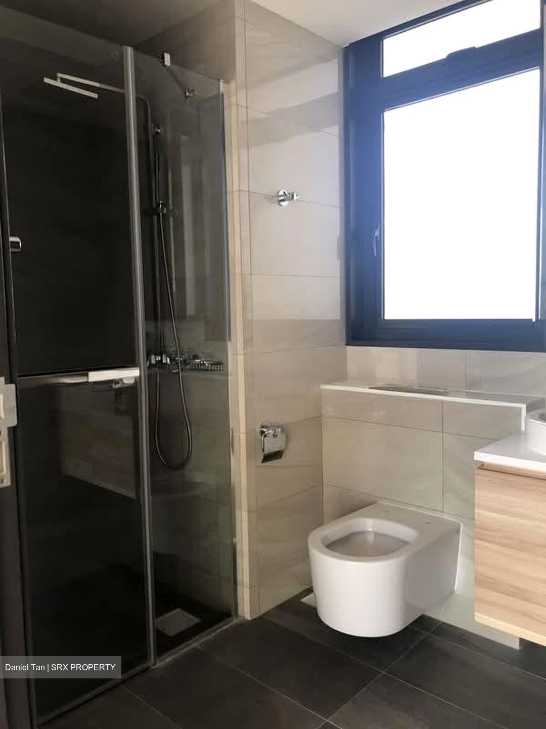 The Poiz Residences (D13), Apartment #608920341